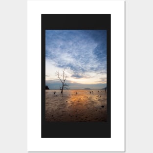 Lonely tree at muddy beach at sunset Posters and Art